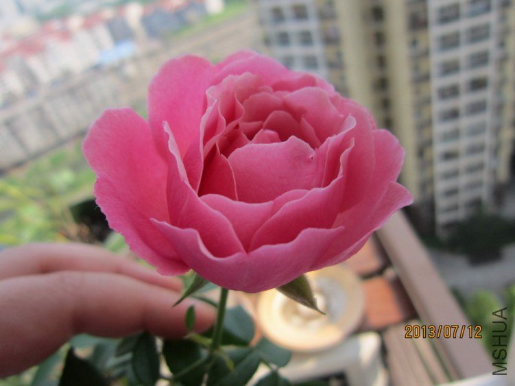 IMG_1927.JPG