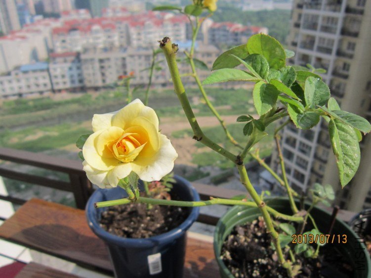 IMG_1938.JPG