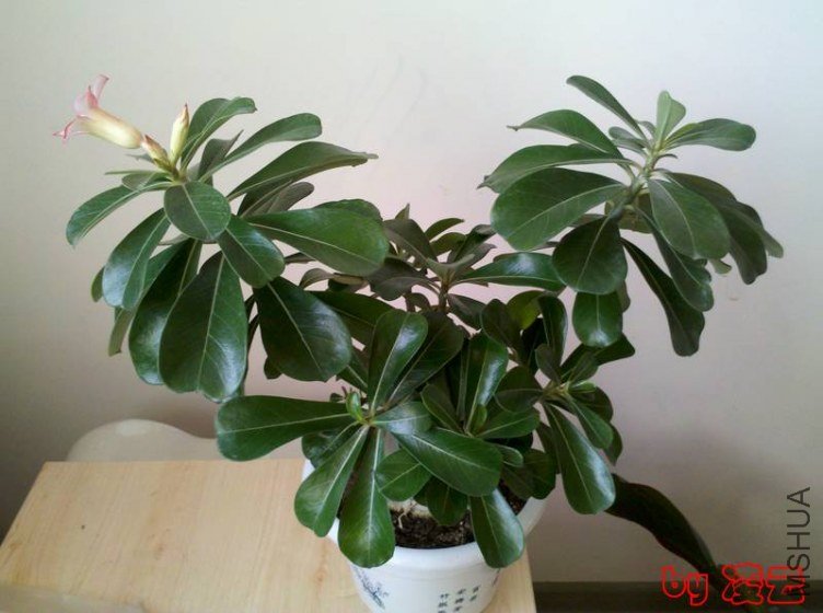 2012-11-15_13-37-21_403.jpg