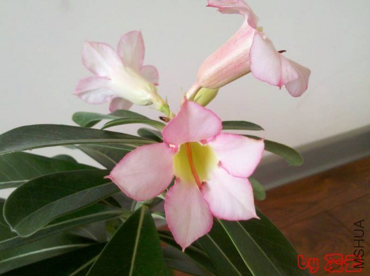 2012-11-26_13-25-04_226.jpg