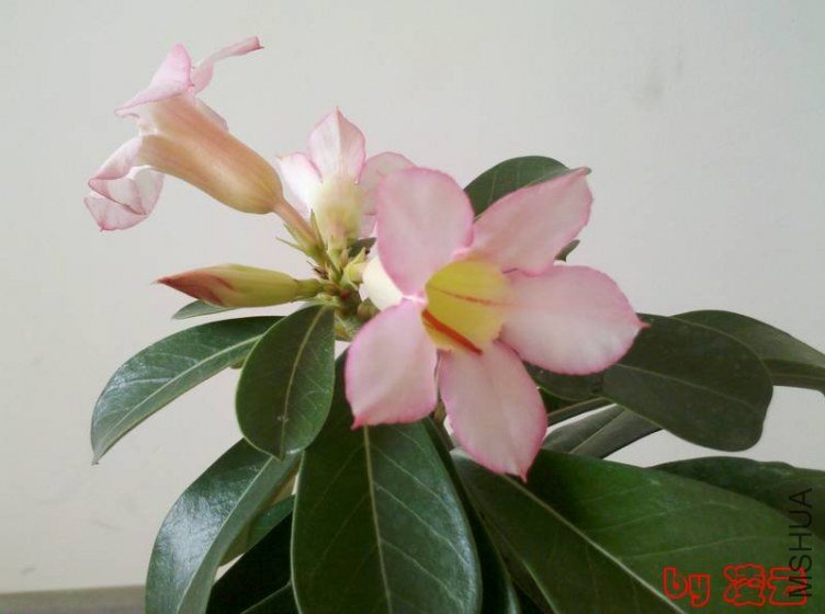 2012-11-26_13-25-22_492.jpg