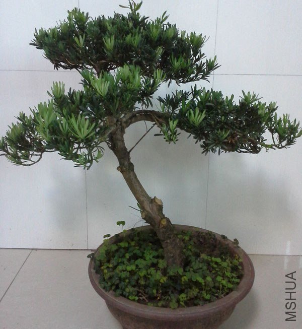 ȸ��20130714_1.jpg