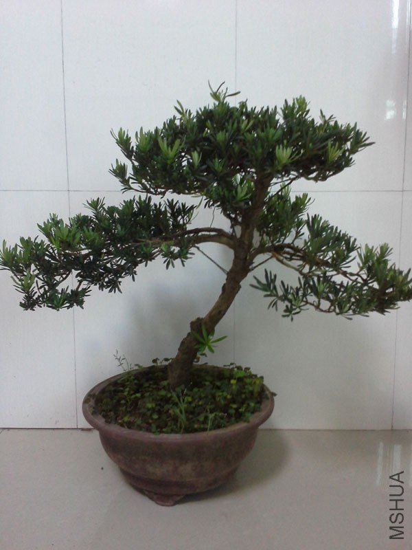ȸ��20130714_2.jpg