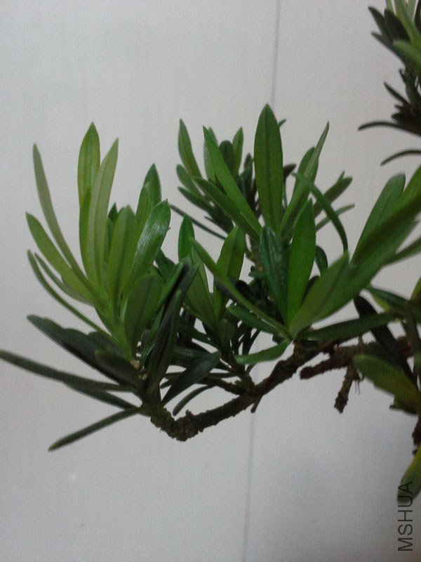 ȸ��20130714_3.jpg