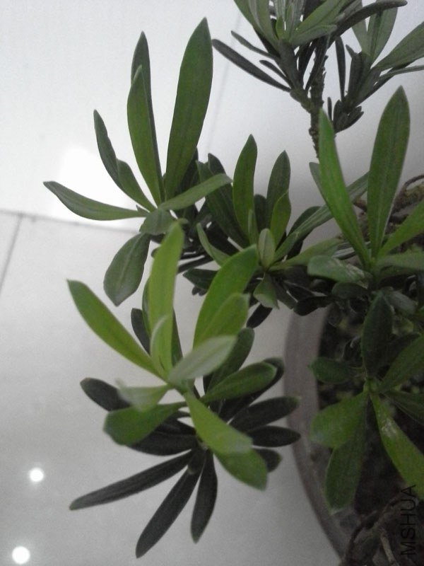 ȸ��20130714_4.jpg
