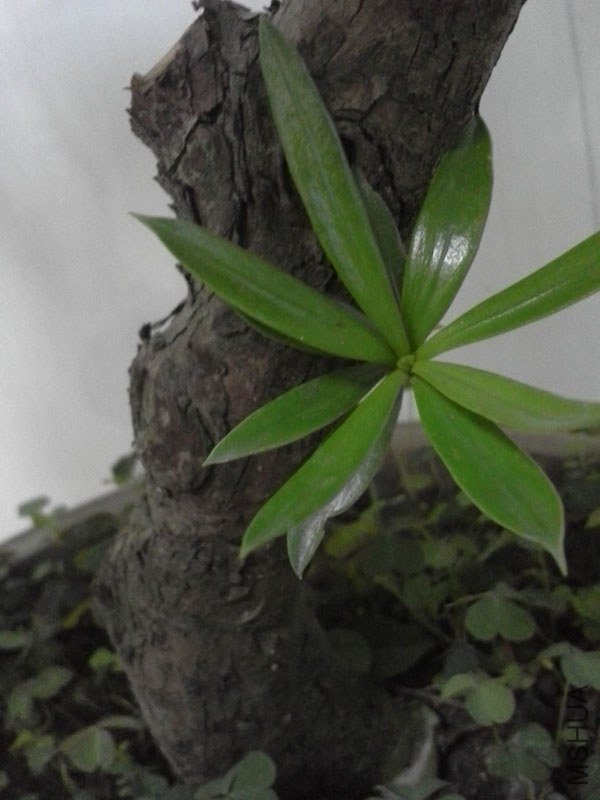 ȸ��20130714_5.jpg