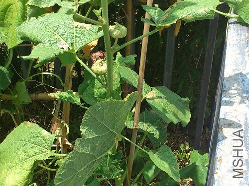 2013-07-14_11-46-18_473428_org.jpg