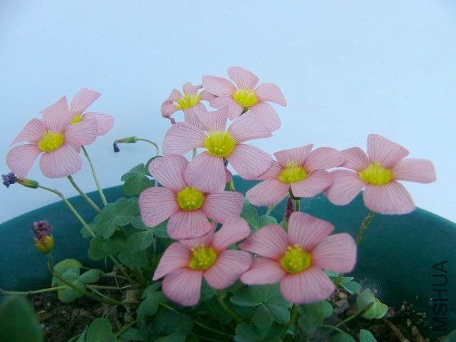 P1090754.JPG