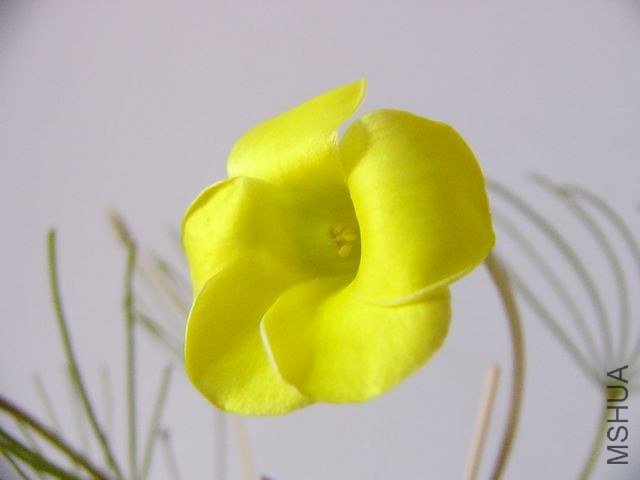 P1120554.JPG