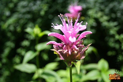 ��Ƭ 015_����.jpg