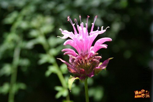 ��Ƭ 017_����.jpg