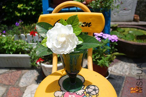 ��Ƭ 006_����.jpg