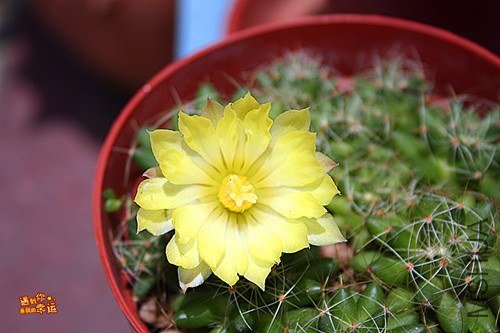 ��Ƭ 002_����.jpg