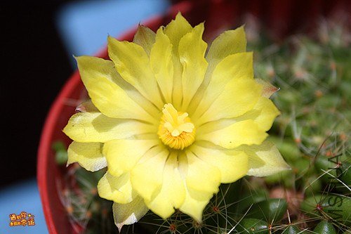 ��Ƭ 003_����.jpg