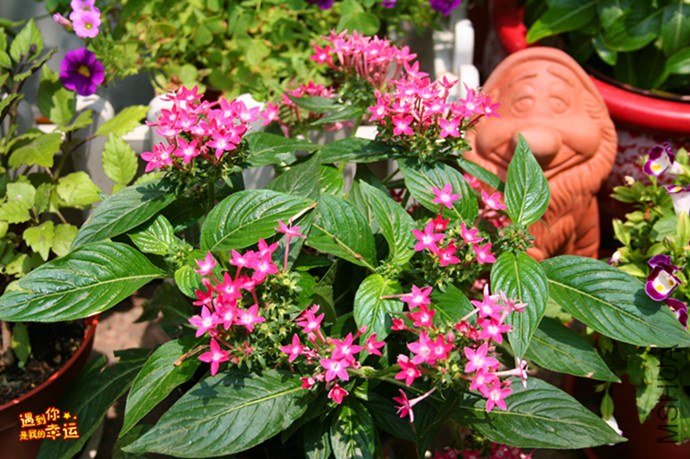 ��Ƭ 044_����.jpg