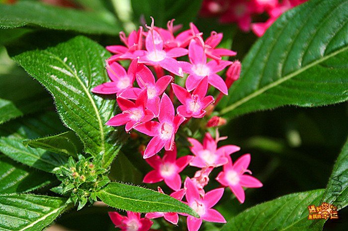 ��Ƭ 045_����.jpg