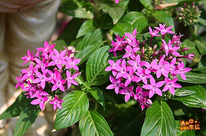 ��Ƭ 048_����.jpg