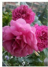 ��Ļ���� 2013-07-17 ����05.26.01.jpg