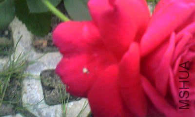 20130717_1733_1.jpg