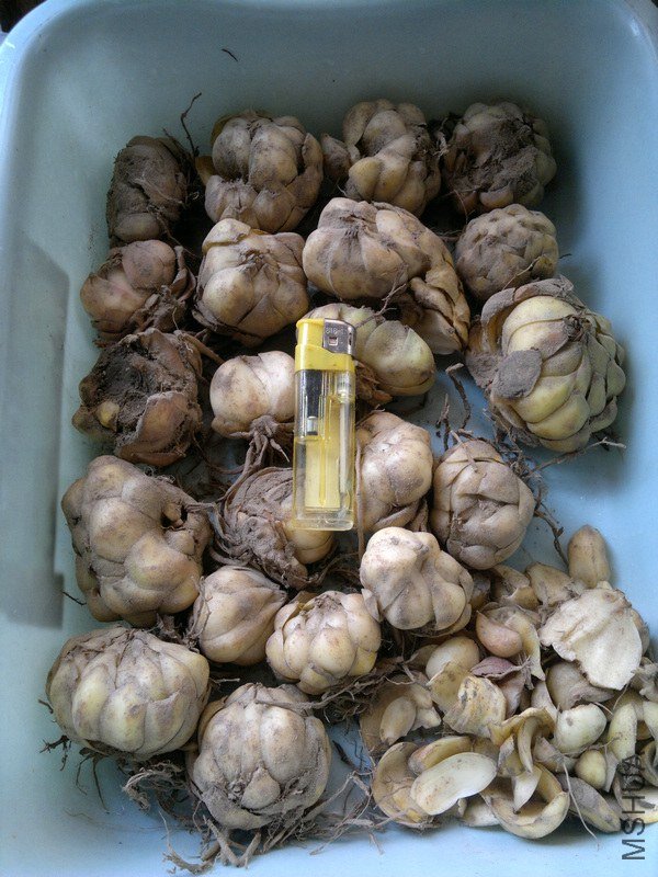201307181732.jpg