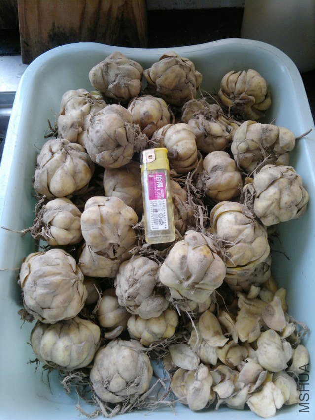 201307181733.jpg