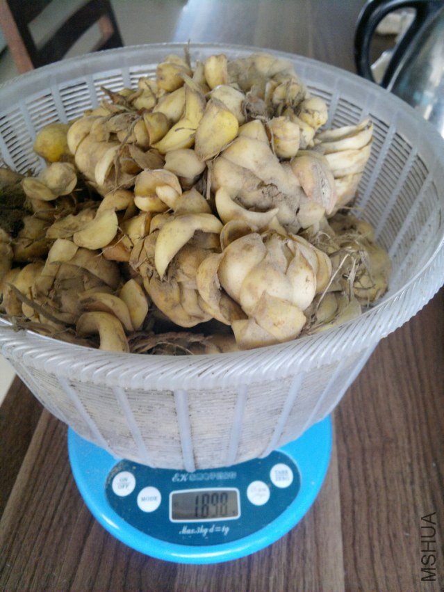 201307181736.jpg