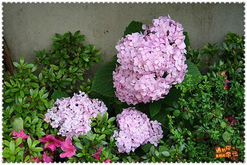 ��Ƭ 006_����.jpg