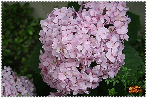 ��Ƭ 007_����.jpg