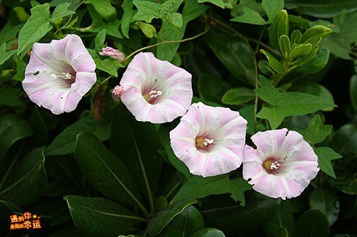 ��Ƭ 061_����.jpg