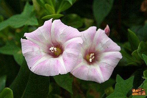 ��Ƭ 063_����.jpg