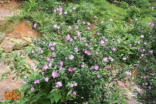 ��Ƭ 056_����.jpg