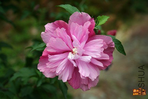 ��Ƭ 057_����.jpg