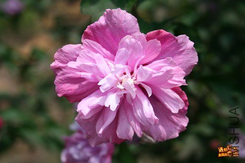 ��Ƭ 060_����.jpg