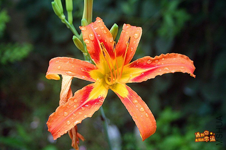 ��Ƭ 005_����.jpg