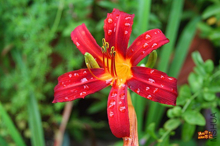 ��Ƭ 006_����.jpg