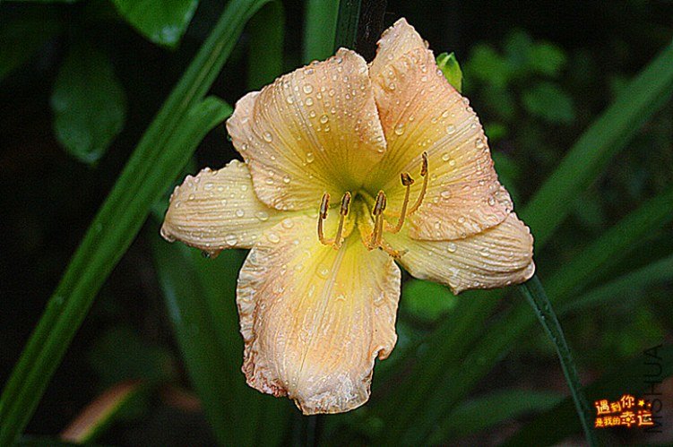 ��Ƭ 007_����.jpg