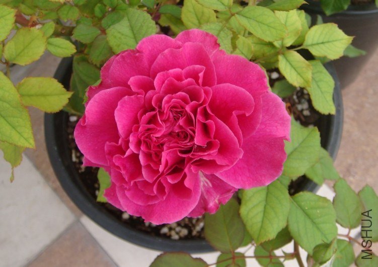 QQͼƬ20130718121059.jpg