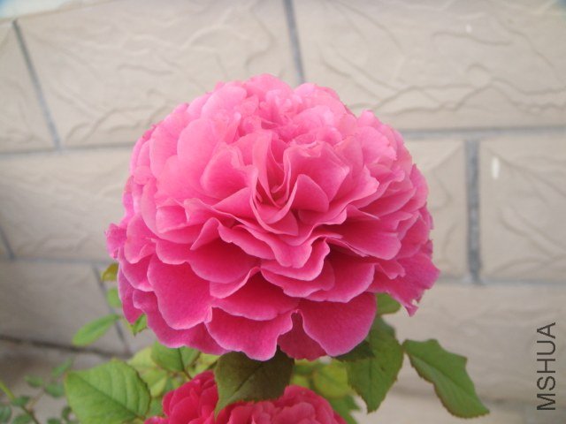 DSC07719.JPG