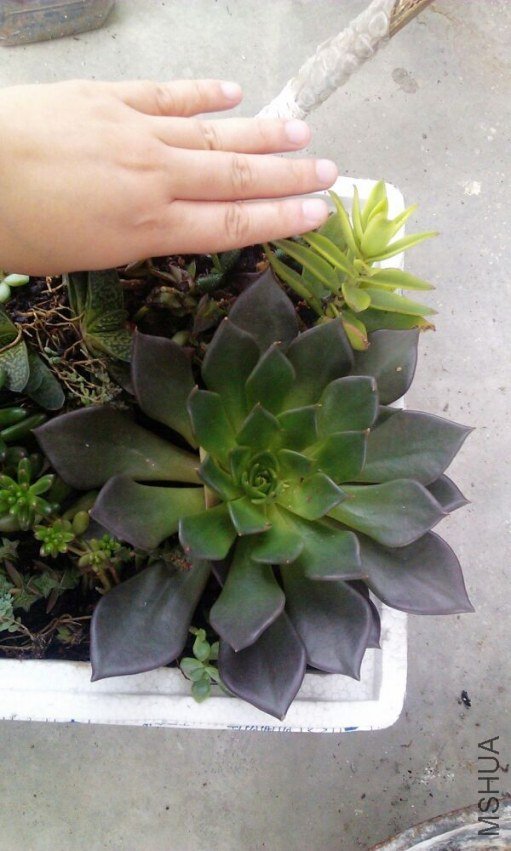 QQͼƬ20130719105454.jpg
