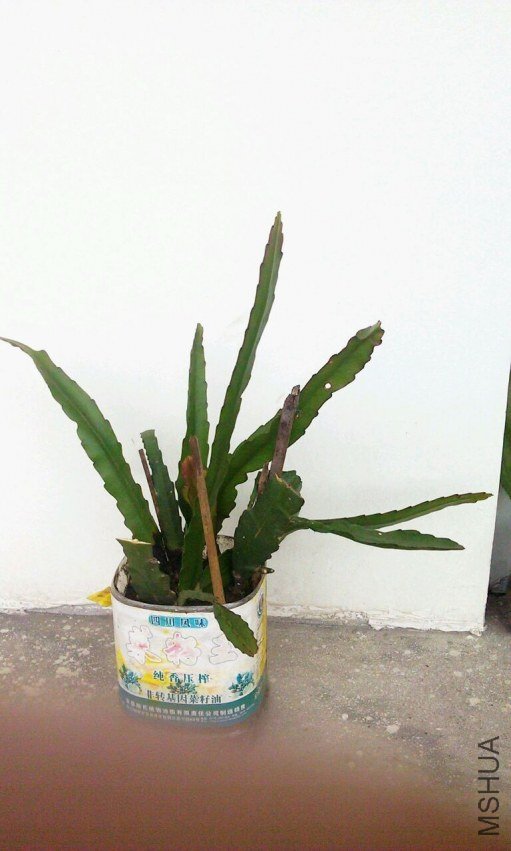 QQͼƬ20130719105652.jpg