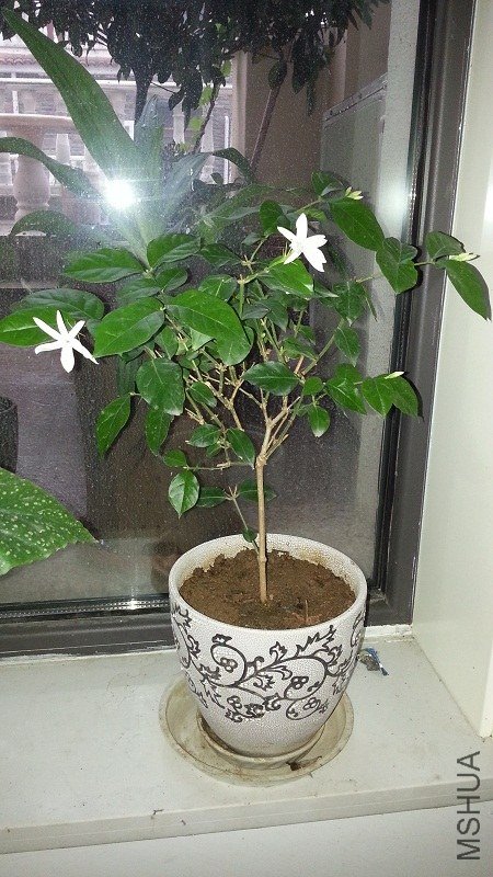 20130719_0617431.jpg