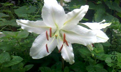 20130719_1022_1.jpg