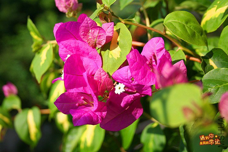 ��Ƭ 006_����.jpg