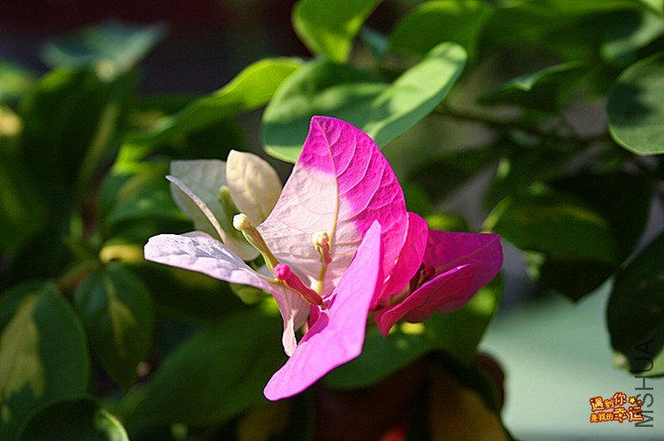 ��Ƭ 008_����.jpg