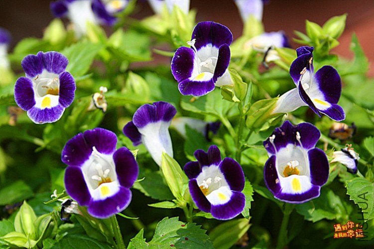 ��Ƭ 068_����.jpg