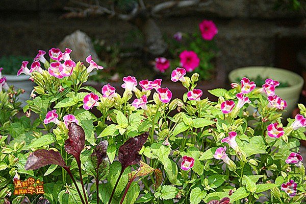 ��Ƭ 103_����_����.jpg