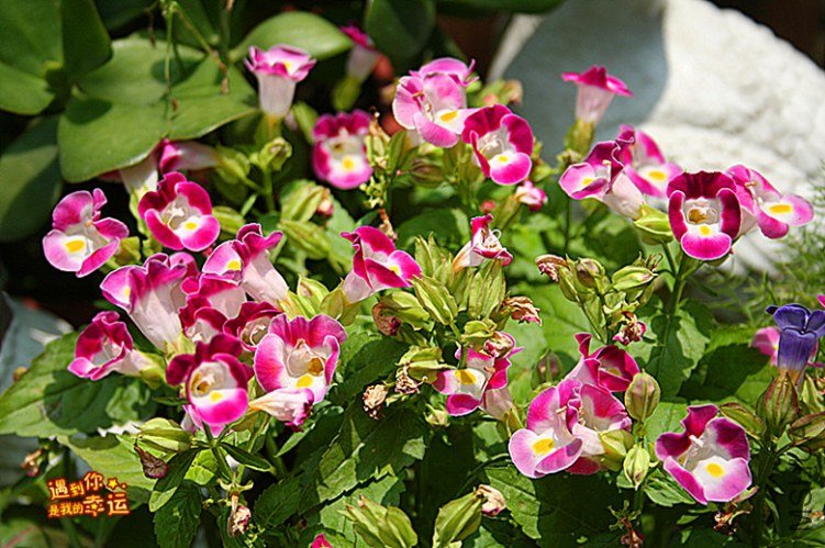 ��Ƭ 104_����.jpg