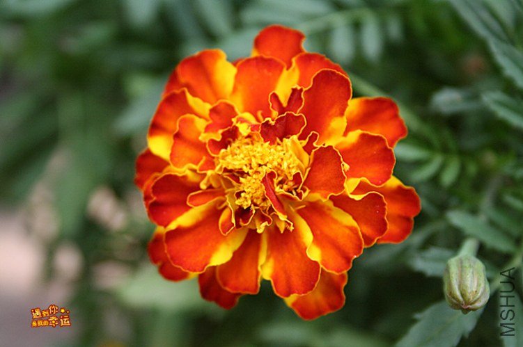 ��Ƭ 132_����.jpg