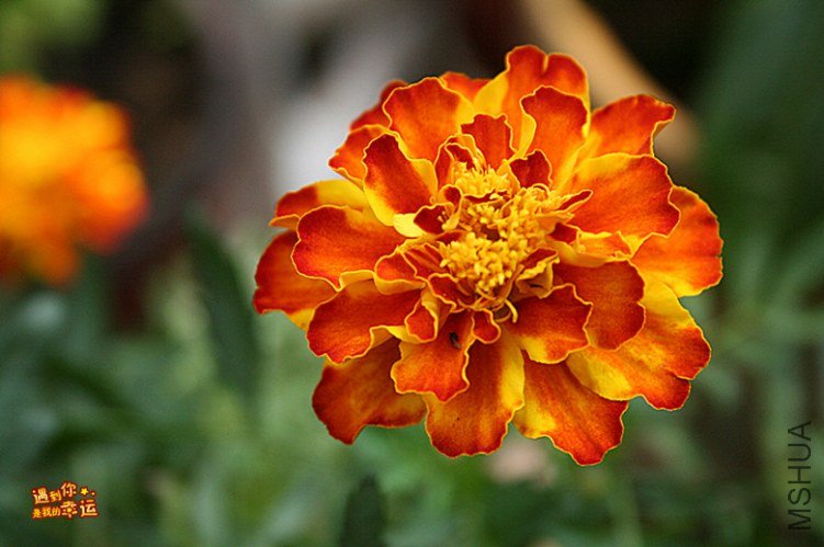 ��Ƭ 133_����.jpg