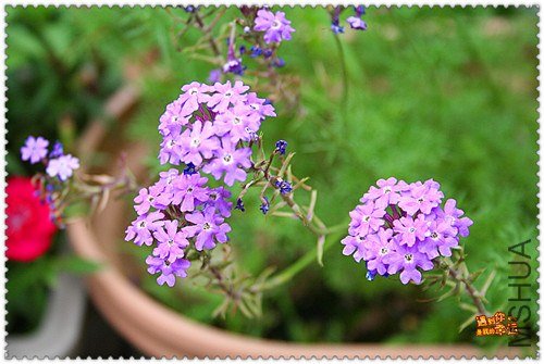 ��Ƭ 077_����.jpg